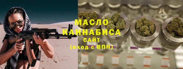 крисы Мегион