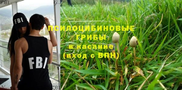 первитин Медногорск