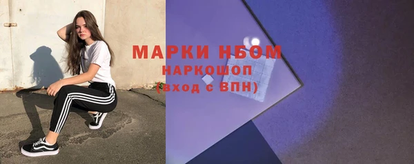 крисы Мегион