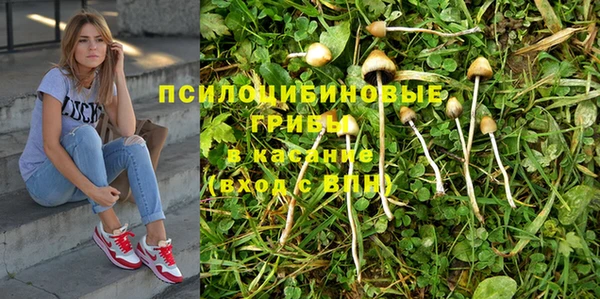 крисы Мегион