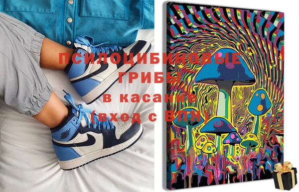 крисы Мегион