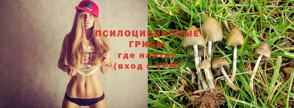 первитин Медногорск