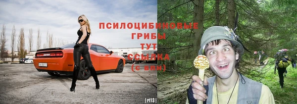 амф Медвежьегорск