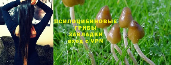 амф Медвежьегорск