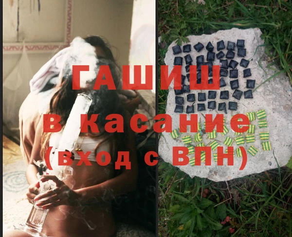 крисы Мегион