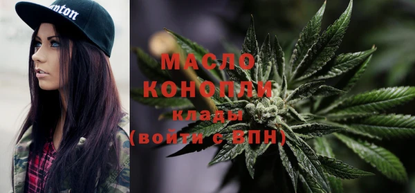крисы Мегион