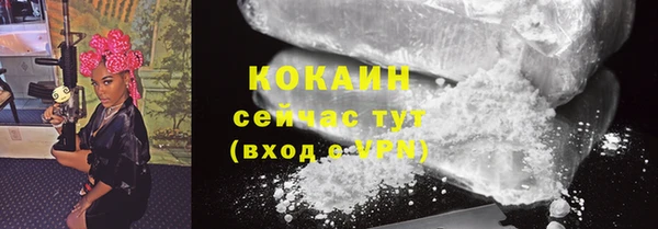 крисы Мегион