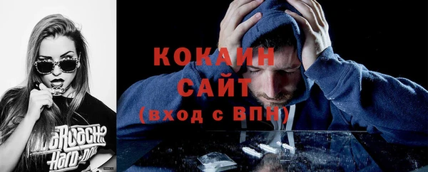 крисы Мегион